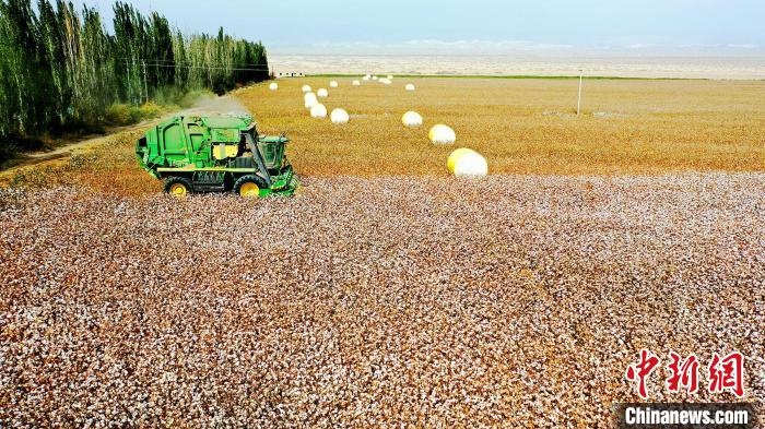 近年來，當(dāng)?shù)孛藁ǚN植戶的生產(chǎn)生活發(fā)生了翻天覆地的變化?！《?攝