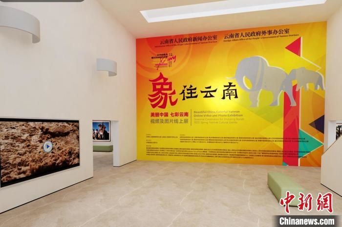 圖為“象”往云南——美麗中國 七彩云南視頻及圖片線上展截圖。　胡遠(yuǎn)航 攝