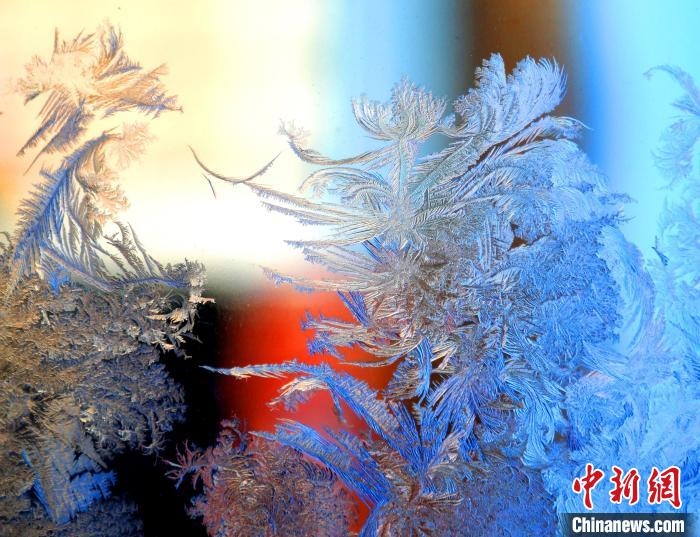 冰窗花千姿百態(tài)?！O書(shū)程 攝