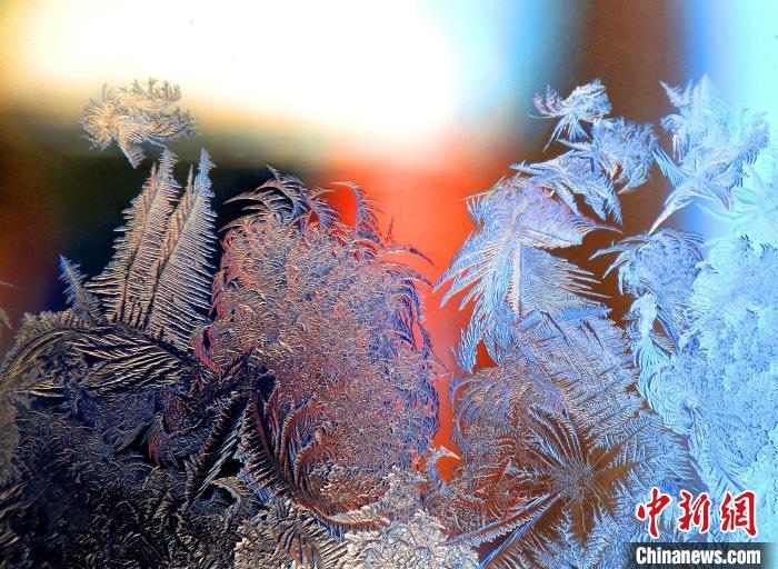 惟妙惟肖的冰窗花，似一幅風(fēng)景畫(huà)。　孫書(shū)程 攝