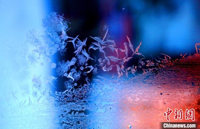 點(diǎn)點(diǎn)冰花像一個(gè)個(gè)小精靈?！O書(shū)程 攝