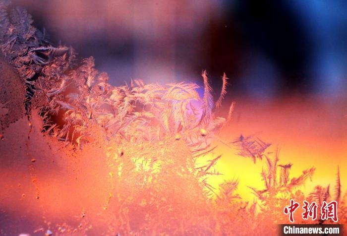 迎著光亮，冰窗花絢麗多姿?！O書(shū)程 攝