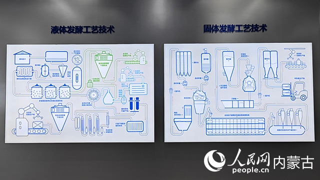 科拓生物工藝技術(shù)展示。人民網(wǎng)記者 張雪冬攝