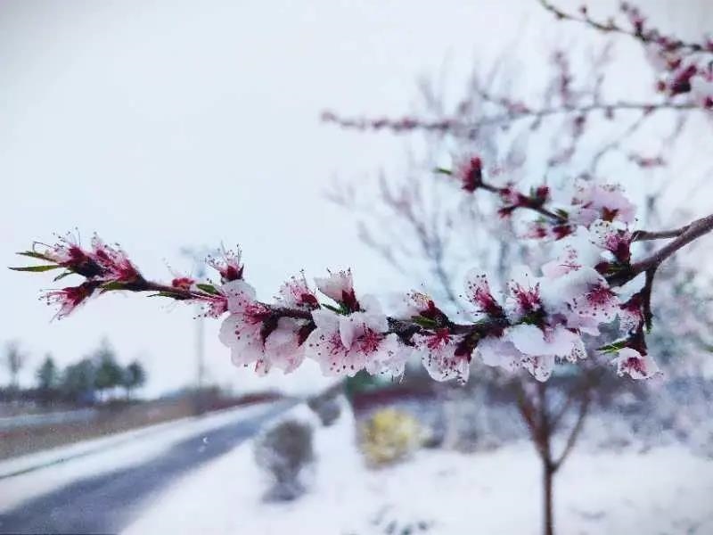 1587393407350220.jpg 微信圖片_20200420223358.jpg