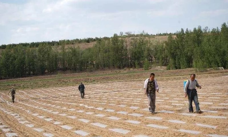 1593485222448235.png 微信圖片_20200630104627.png