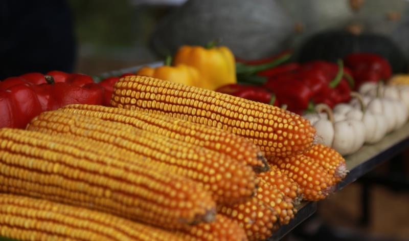 1600827196572292.jpg 微信圖片_20200923101245.jpg