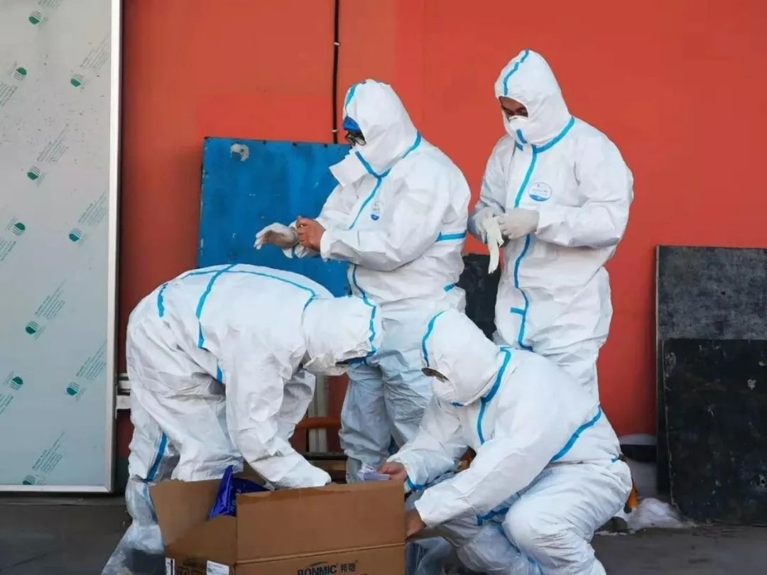 1607264204962590.png 488866a028f70cc5f44ab74fc90e3540.png