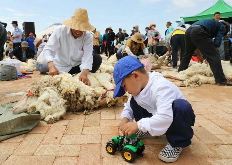 1623464845300479.jpg 7O5A3663.jpg