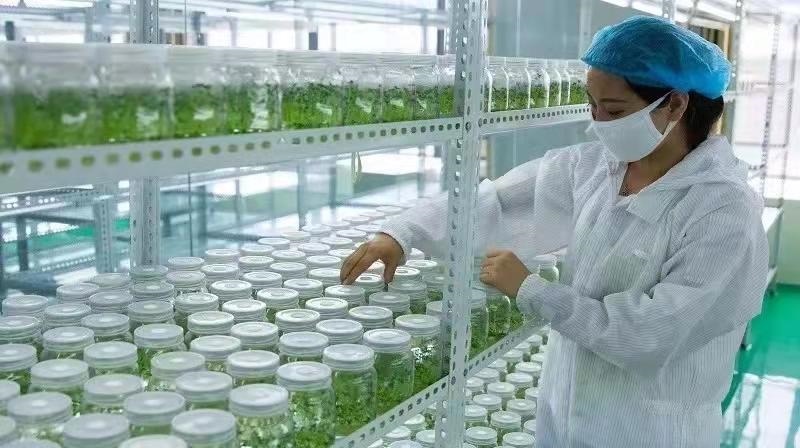 1638003675529893.jpg 微信圖片_20211127165918.jpg