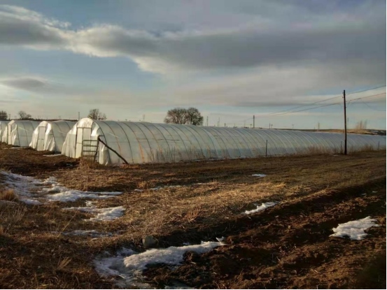 1639364319701030.png 6ac9f605cab4aa380f8f991f28427bb12530.png