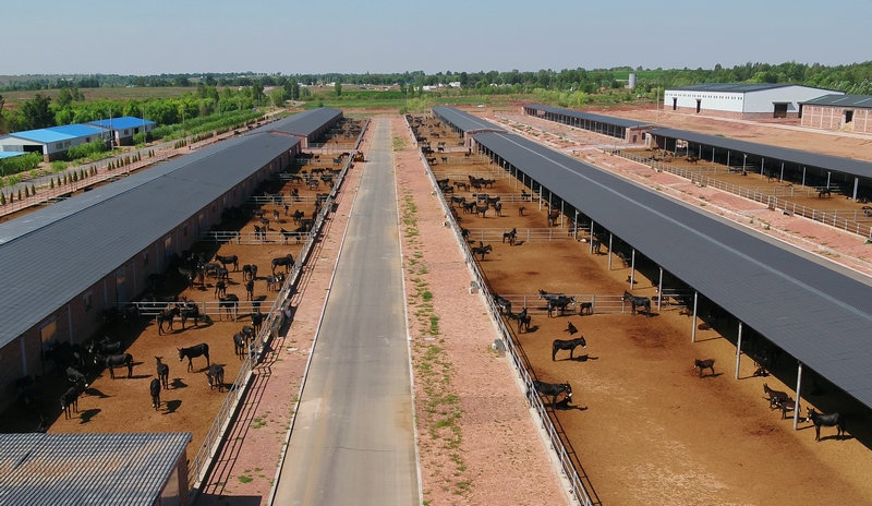 1649229723374849.jpg 微信圖片_20220330174240.jpg