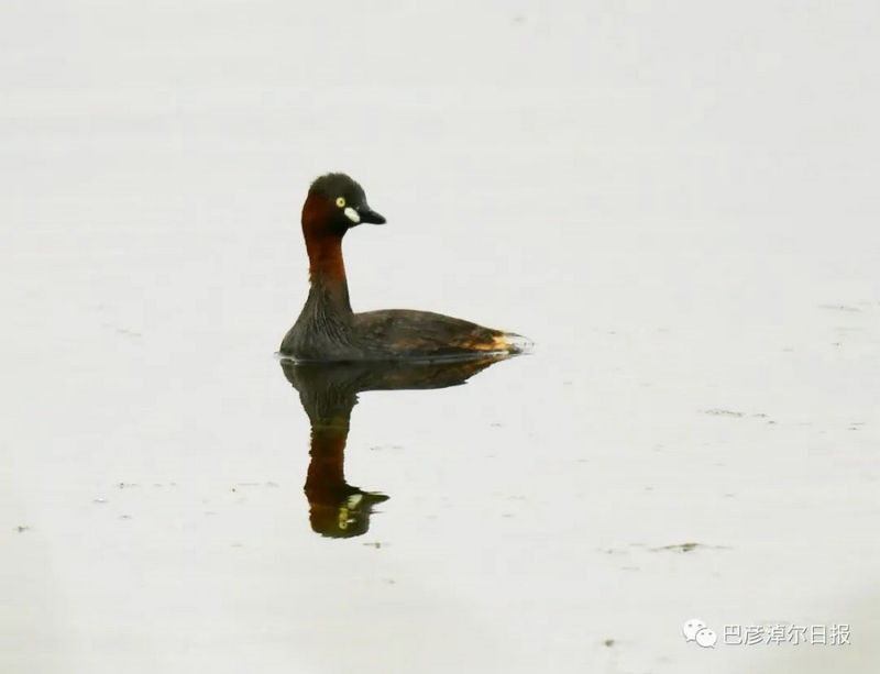 1660027239122920.jpg 微信圖片_20220809143535_副本.jpg