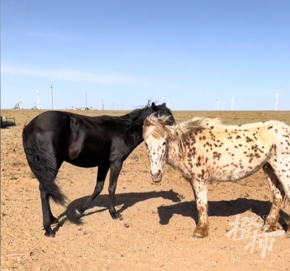 1662098091113031.png 32acf296-cda5-480b-ae4a-db518ef30599.png