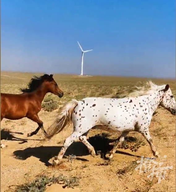 1662098185150783.png 08c2c529-ce22-4be4-a2de-907d468796be.png