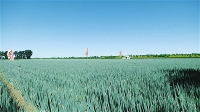 1665906323584672.jpg 00300589517_17a84037.jpg