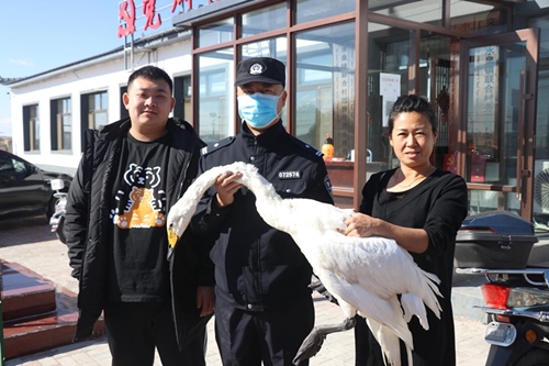 1666602908558423.png 圖片1_副本.png