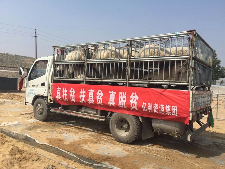 1677149101613202.png 圖片5.png