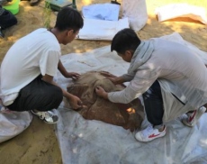 1677551075191147.png image.png