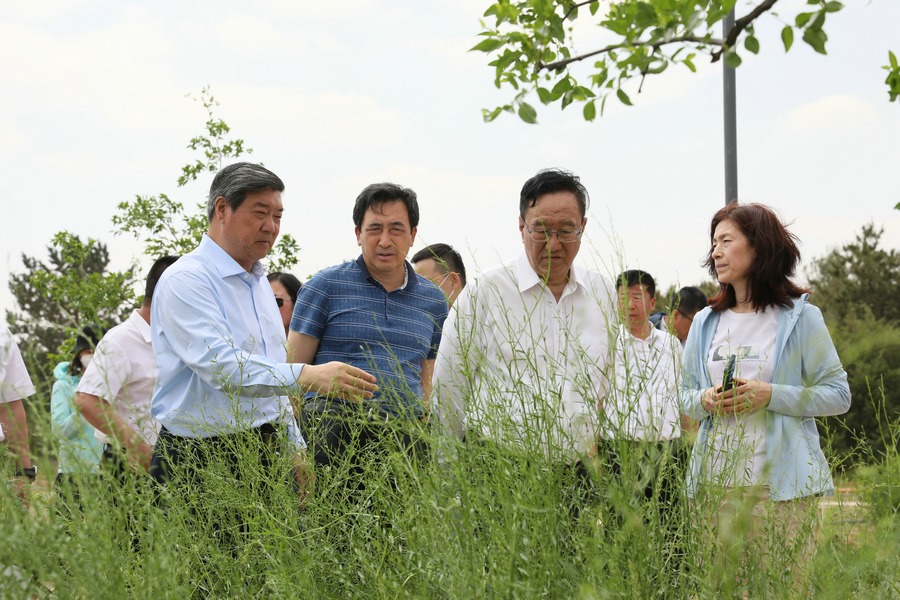 1687195489791096.jpg 7O5A6167.JPG