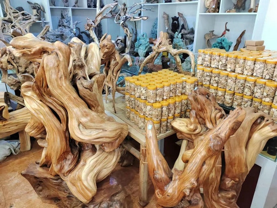 1697513019384704.jpg 微信圖片_20230921160730.jpg