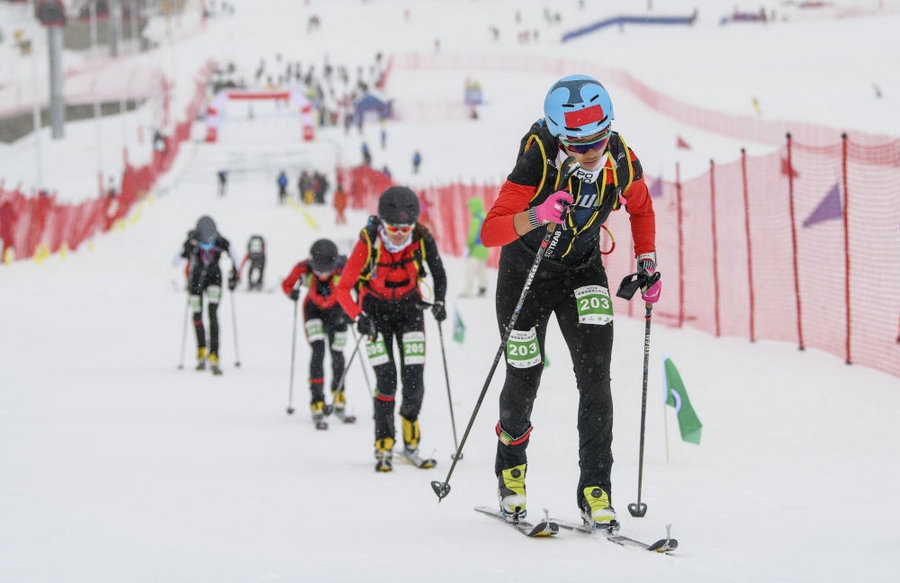 1701330620360606.jpg _K4I9674.JPG