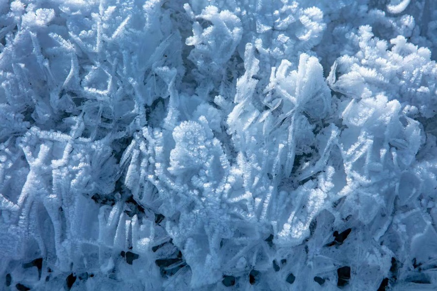 1703777231122804.png 圖片7.png