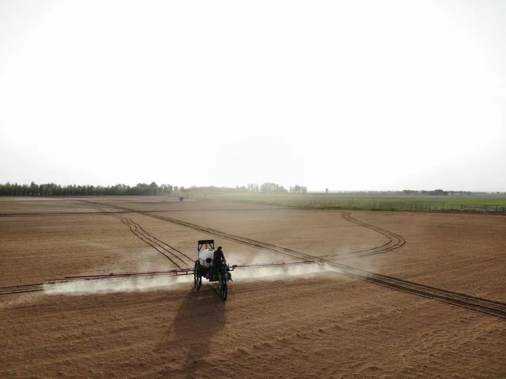 1716341449113048.jpeg WechatIMG1426.jpeg