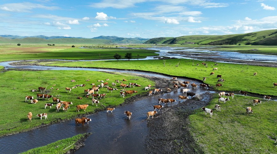 1719929274134211.png c5d7c150993e519d1bc1124348db6d4f.png