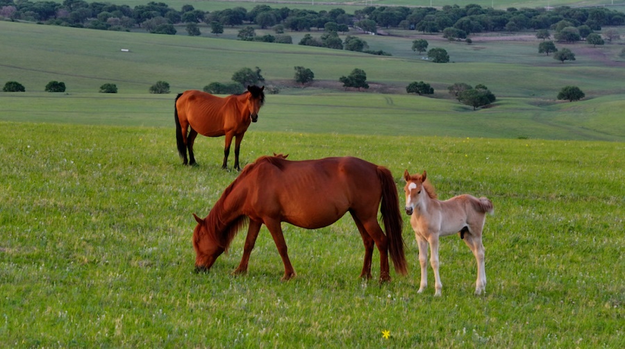 1719929328942396.png 640-1.png