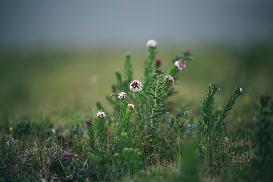 1721619999343823.jpg 微信圖片_20240709110712.jpg