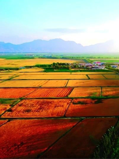 1736740638398818.jpg _O6I3470.JPG