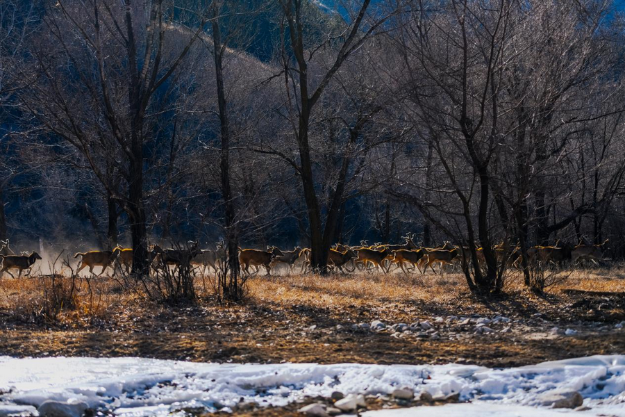 1740123132107493.png 圖片3.png