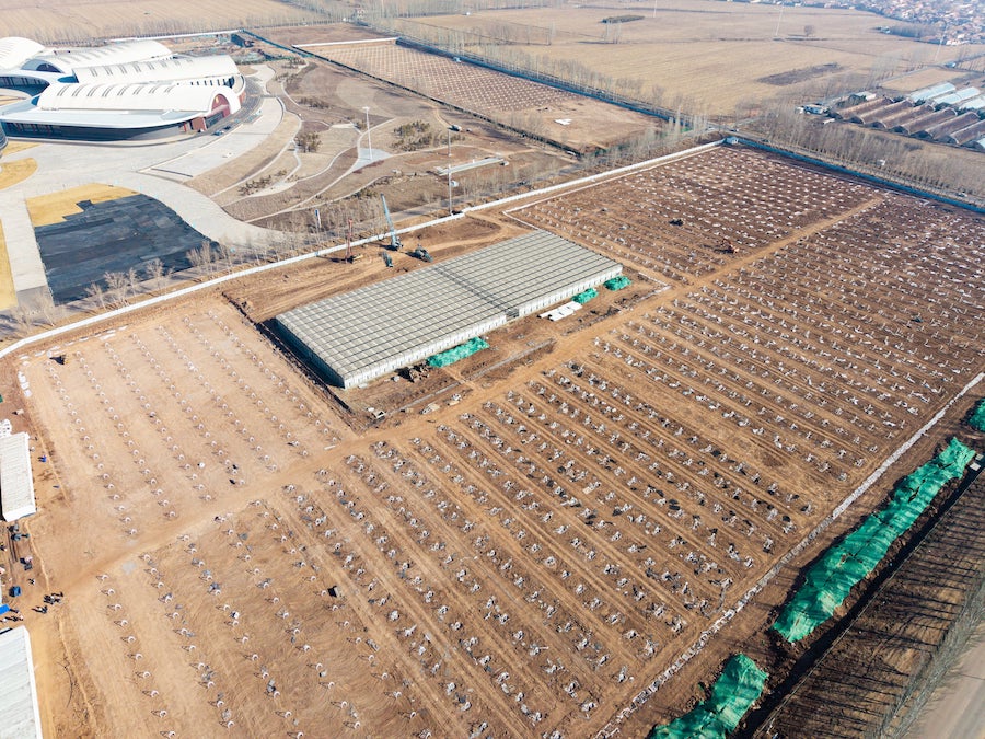 1740739254121199.jpeg WechatIMG14062.jpeg