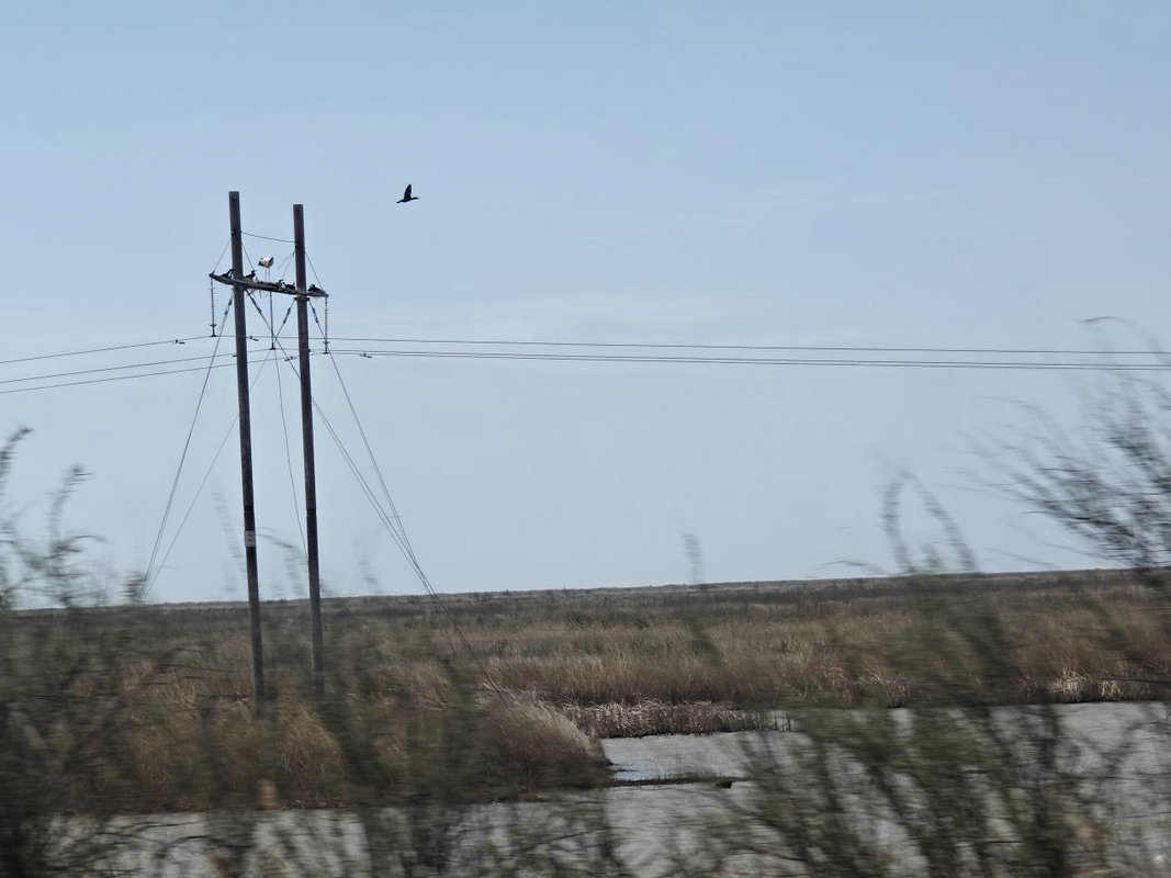 1744852609358024.jpg 東營(yíng)5.jpg