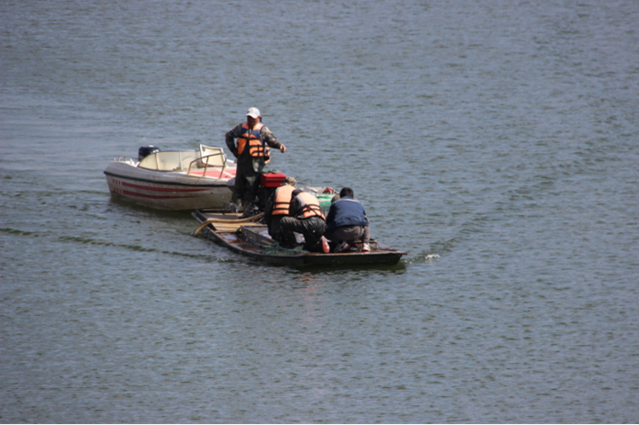 1745113251573398.png 魚2.png