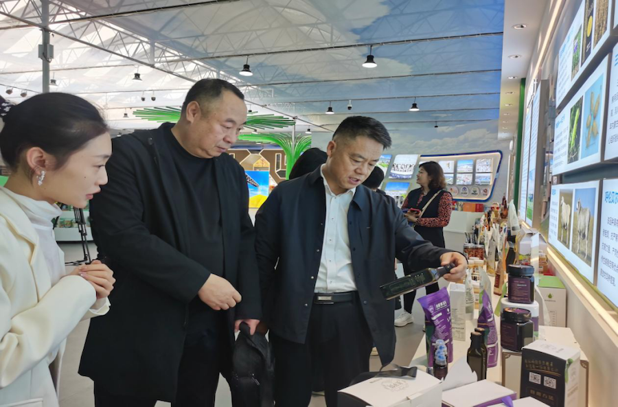 1745926115623229.png 圖片176.png