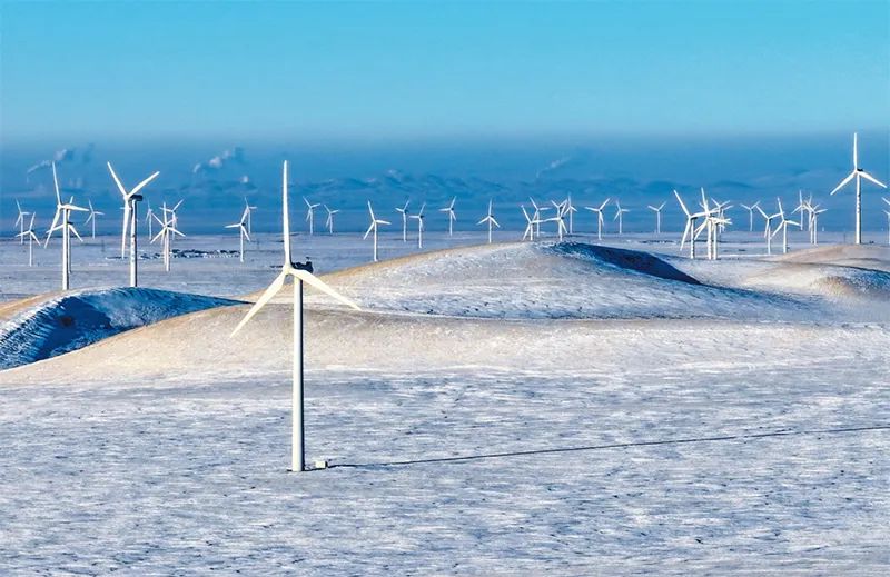 1748739933133897.jpeg 3F.jpeg