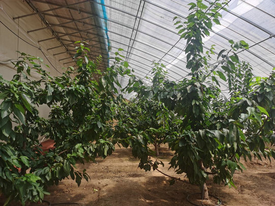 1751936730108414.jpg 經(jīng)濟(jì)1.jpg