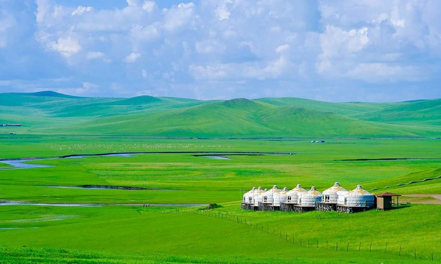 1752051258694059.jpg 色3.jpg