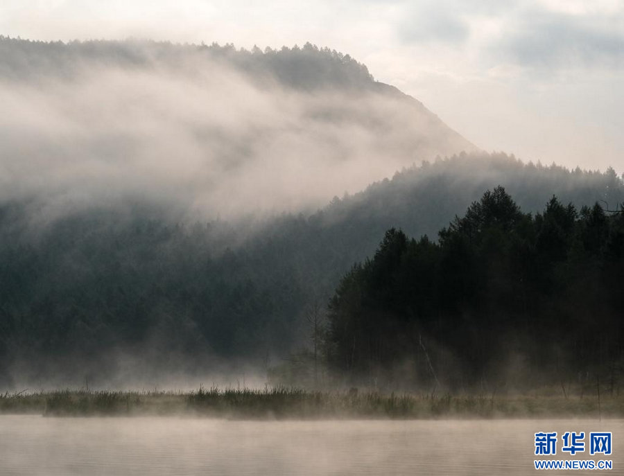 1753760453215804.jpg 202507288e7b878edf4443a883859788672d1fef_202507285c5a947aea5f44faa2b2da81f8778cd7.jpg