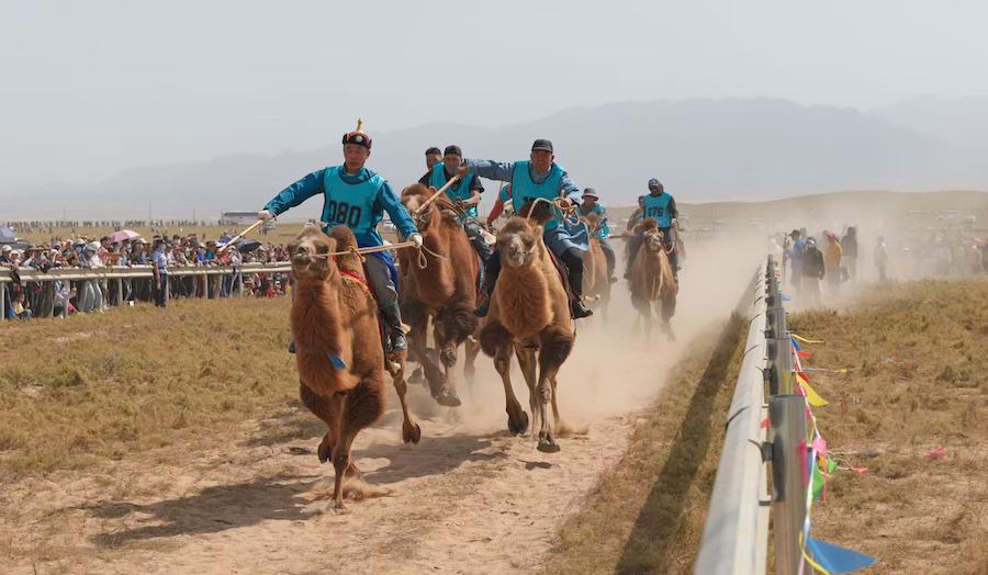 1757823717127232.jpeg WechatIMG10359.jpeg