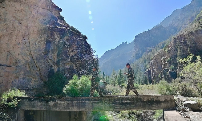 1757918137185768.jpg 護(hù)林3.jpg