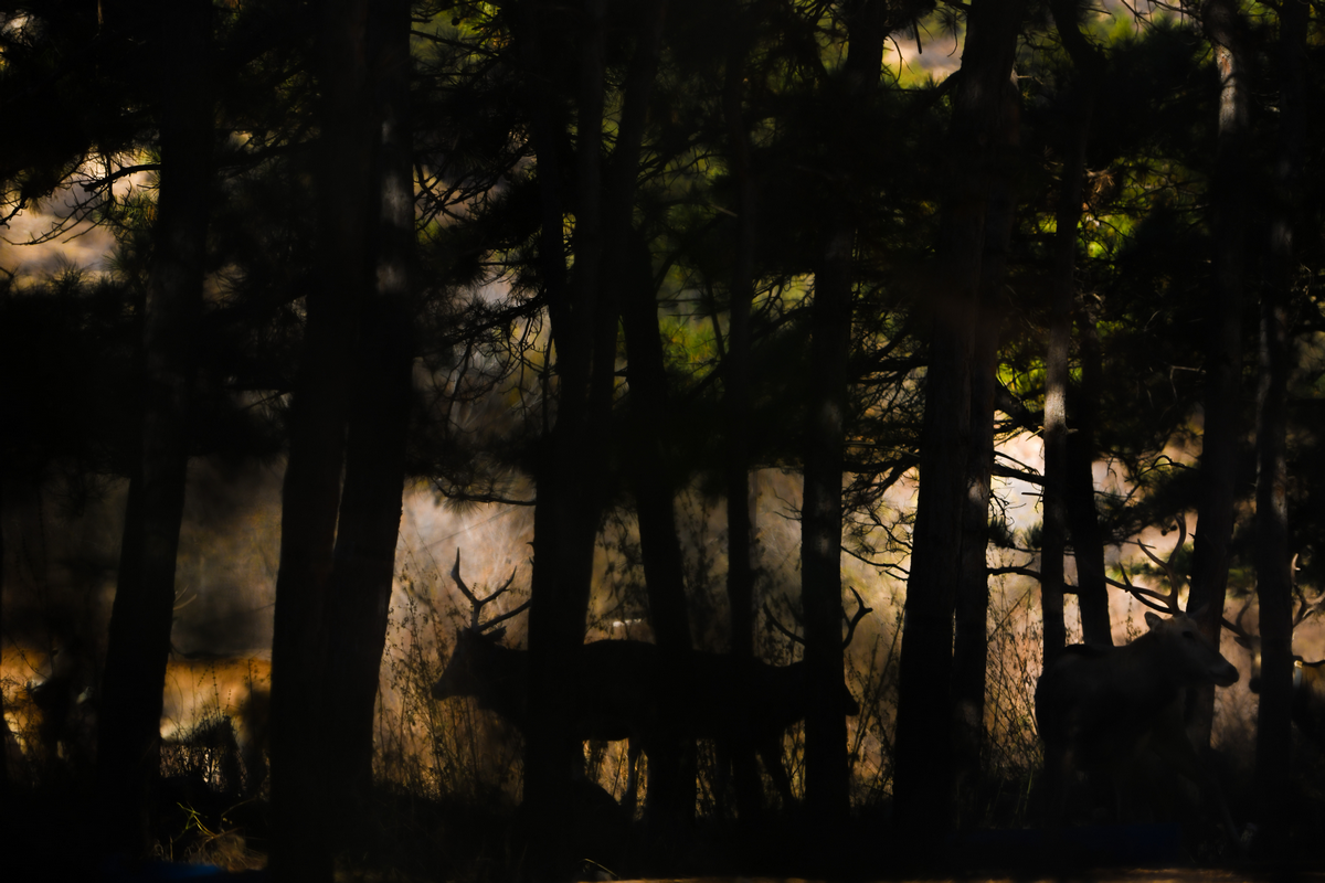 1761634748351354.png 圖片2.png