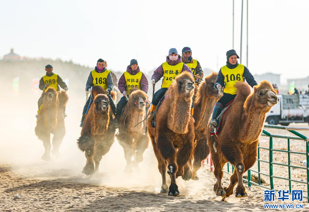 3月7日，賽駝手在6000米成年駱駝場地速度賽比賽中。.jpg
