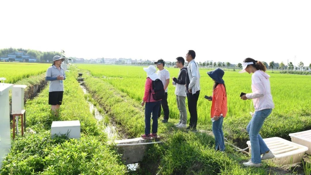 △云南大理古生村科技小院成員在田間調(diào)查。