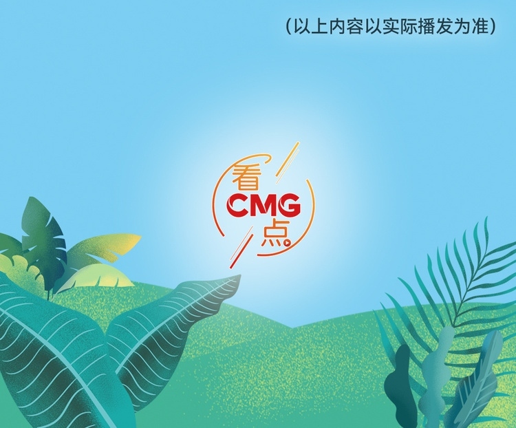 總臺周看點(diǎn)，來了！