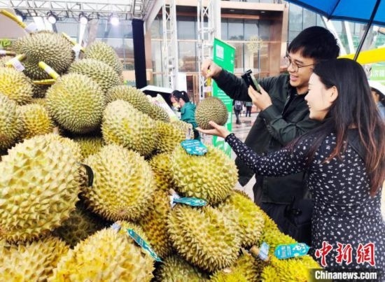 圖為廣西南寧市民在選購榴蓮。黃艷梅 攝