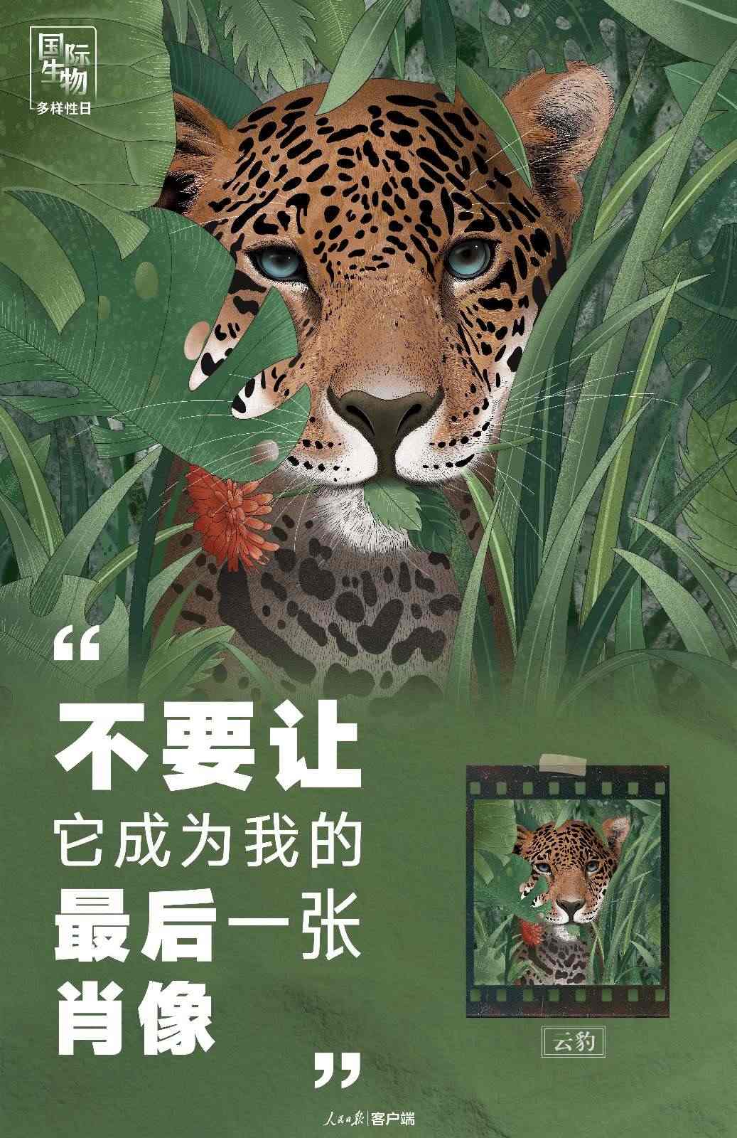 “不要讓它成為我的最后一張肖像”