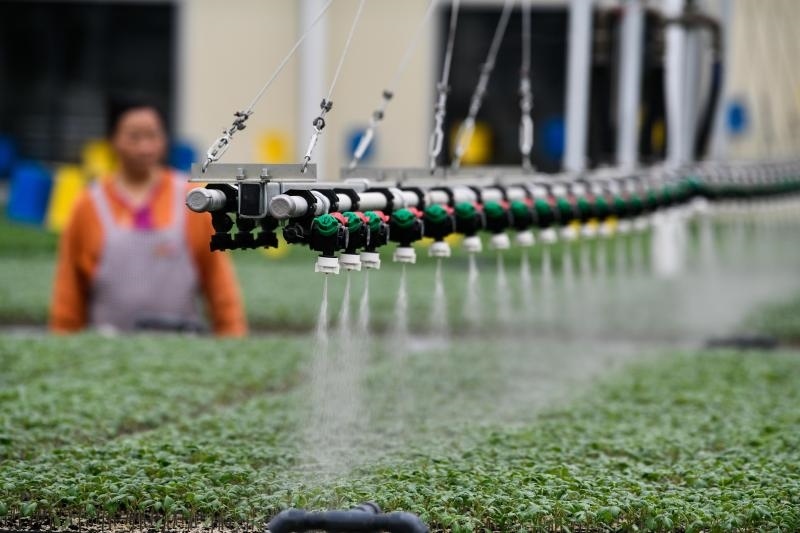 工人在貴陽市開陽縣楠木渡蔬菜良種繁育中心查看自動噴灌系統(tǒng)給辣椒苗澆水情況（2023年5月24日攝）。新華社記者 楊文斌 攝