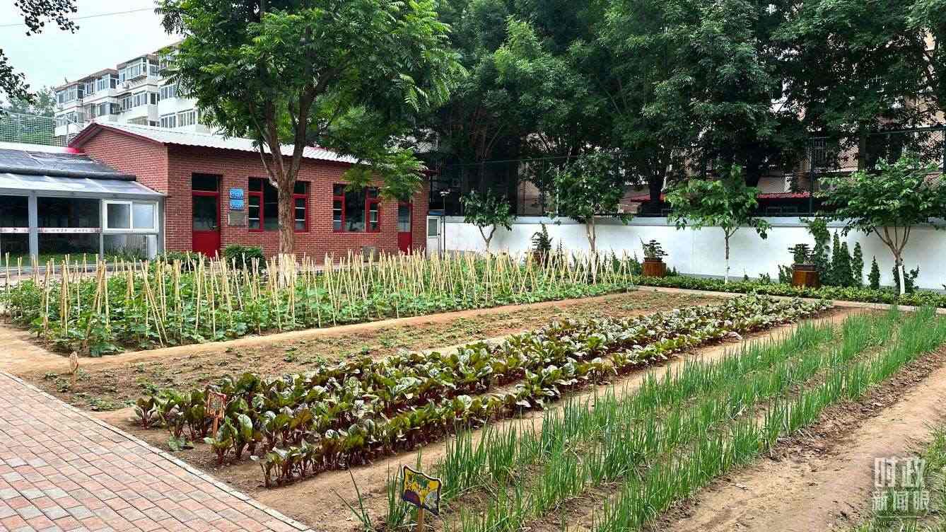 △學(xué)生農(nóng)場。（總臺央視記者趙化拍攝）